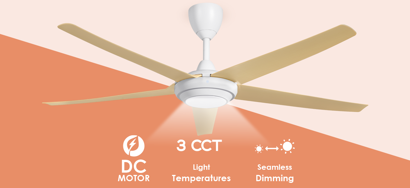 CX20-5B/40 LED Black thumbnail 2